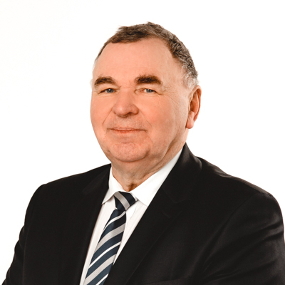 Mart Ronk